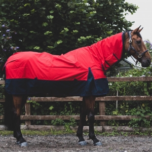 Types of Horse Rug and A Guide How to Choose the Best