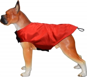 Stay Warm and Stylish: Small Dog Jackets That Make Heads Turn